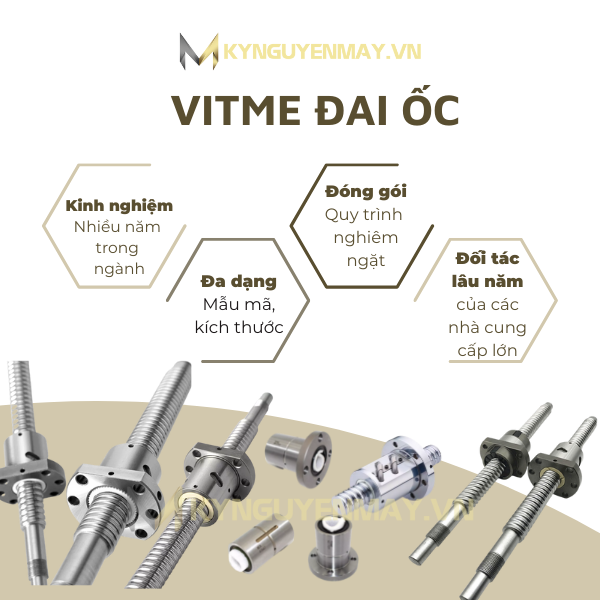 Vitme đai ốc bi