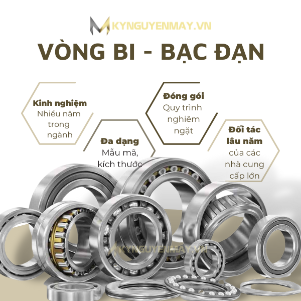 vòng bi bạc đạn chính hãng