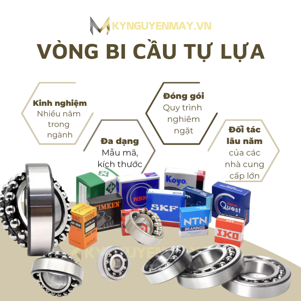 vòng bi cầu tự lựa (bạc đạn cầu tự lựa)