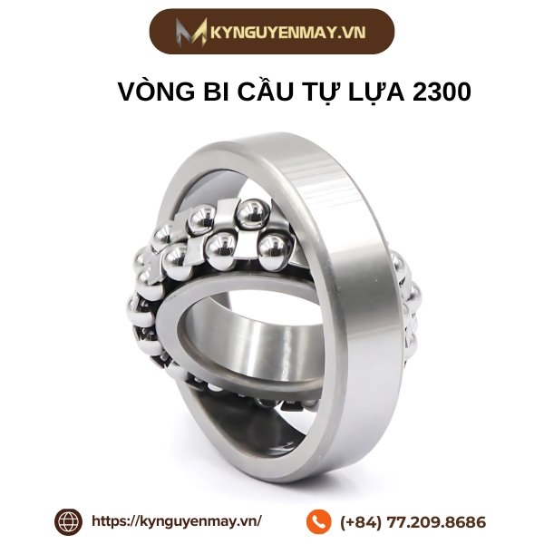Vòng bi cầu tự lựa 2300