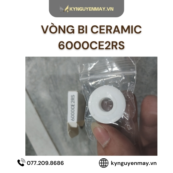 Tìm hiểu về ổ bi 6000CE2RS
