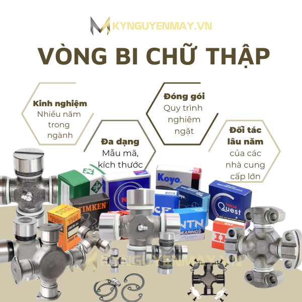 vòng bi chữ thập (bạc đạn chữ thập)