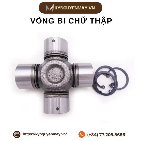 Vòng bi chữ thập