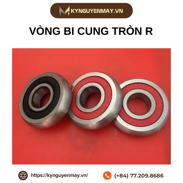 Vòng bi cung tròn R