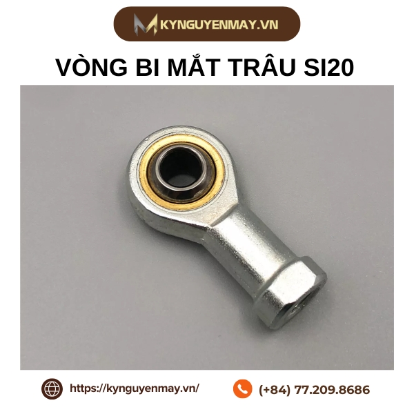 Vòng bi mắt trâu SI20 là gì?