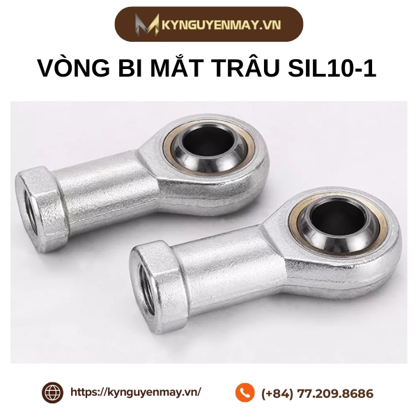 Giới thiệu bi mắt trâu SIL10-1