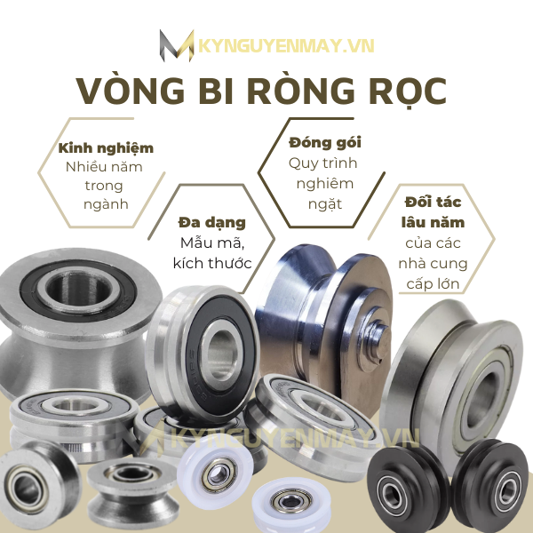 vòng bi ròng rọc (bạc đạn ròng rọc)