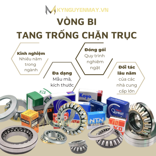 vòng bi tang trống chặn trục