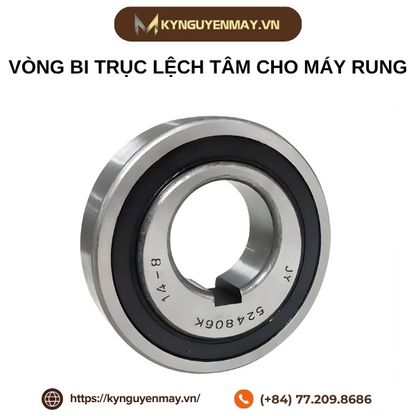 Vòng bi trục lệch tâm cho máy rung