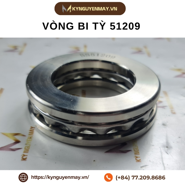 Vòng bi tỳ 51209