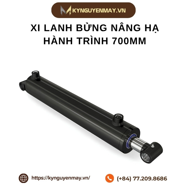 Xi lanh bửng nâng hạ hành trình 700mm