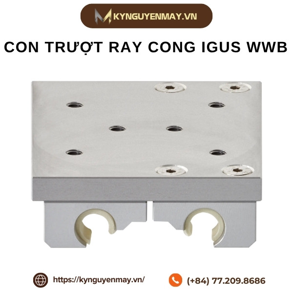 Con trượt ray cong IGUS WWB