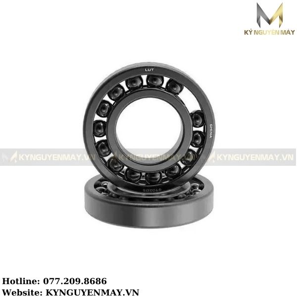 Vòng Bi Tang Trống 21310