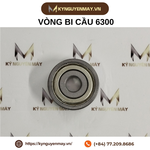 Vòng bi cầu 6300