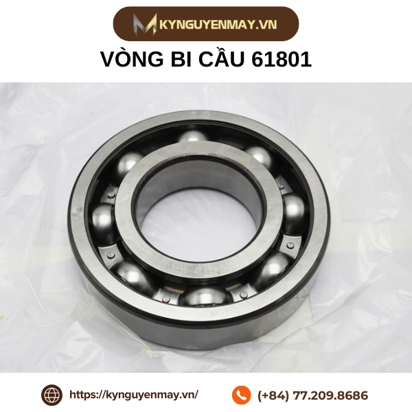 Vòng bi cầu 61801