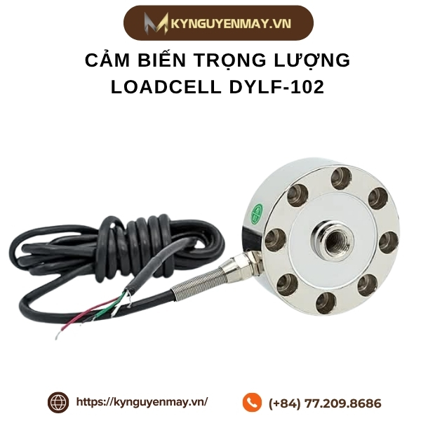 Cảm biến trọng lượng Loadcell DYLF-102