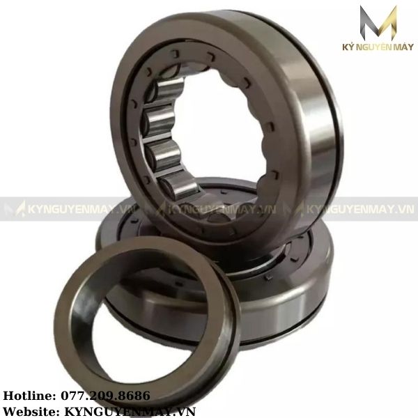 Vòng Bi Tang Trống 21305