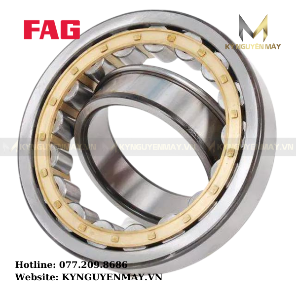 Bạc đạn đũa NU 203