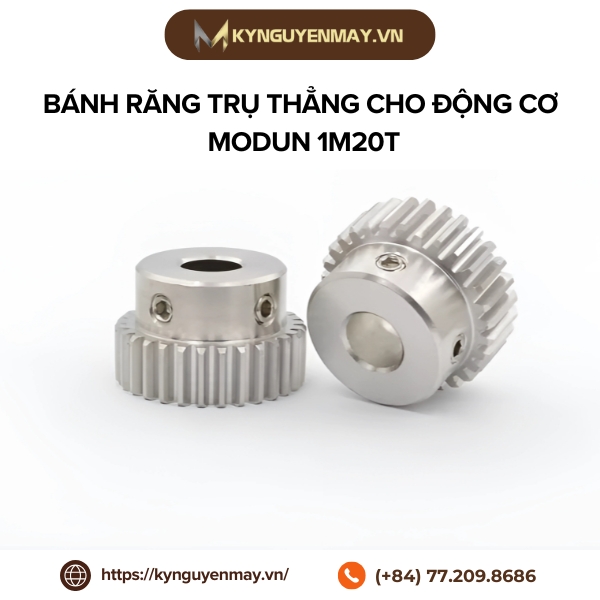 Bánh răng trụ thẳng cho động cơ modun 1 kiểu M20T