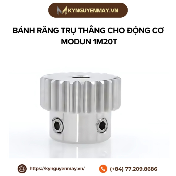 Bánh răng trụ thẳng cho động cơ modun 1 kiểu M20T