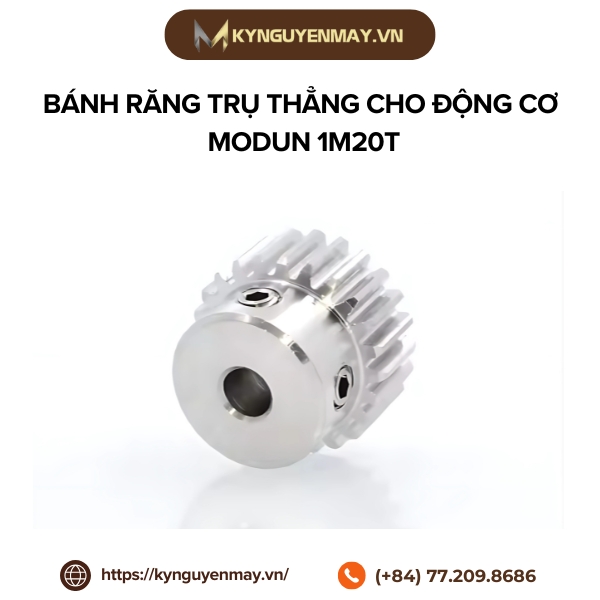Bánh răng trụ thẳng cho động cơ modun 1 kiểu M20T