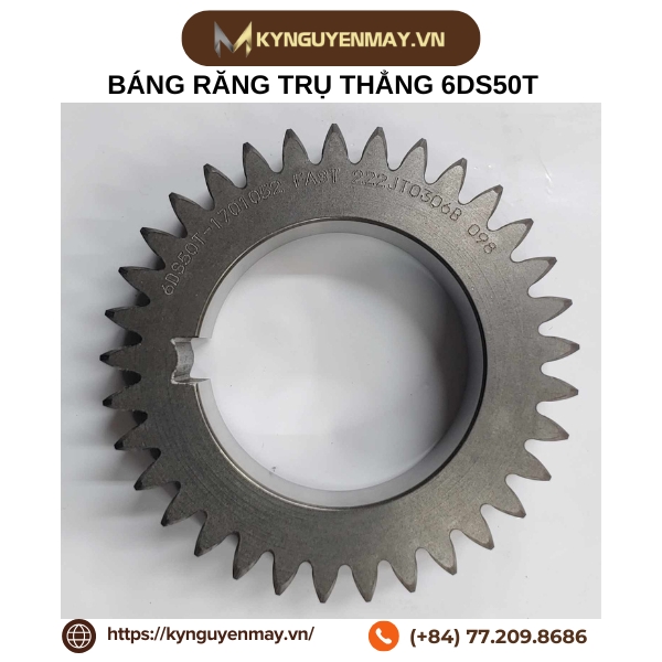 Bánh răng trụ thẳng MSGH-JIS2