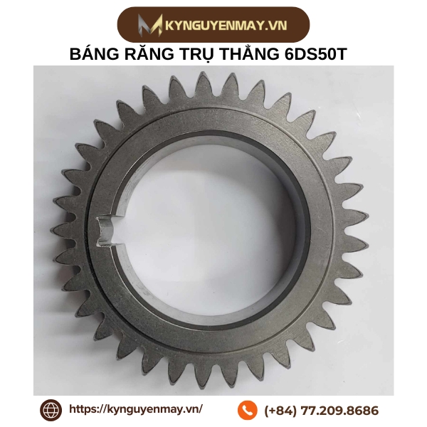 Bánh răng trụ thẳng MSGH-JIS2
