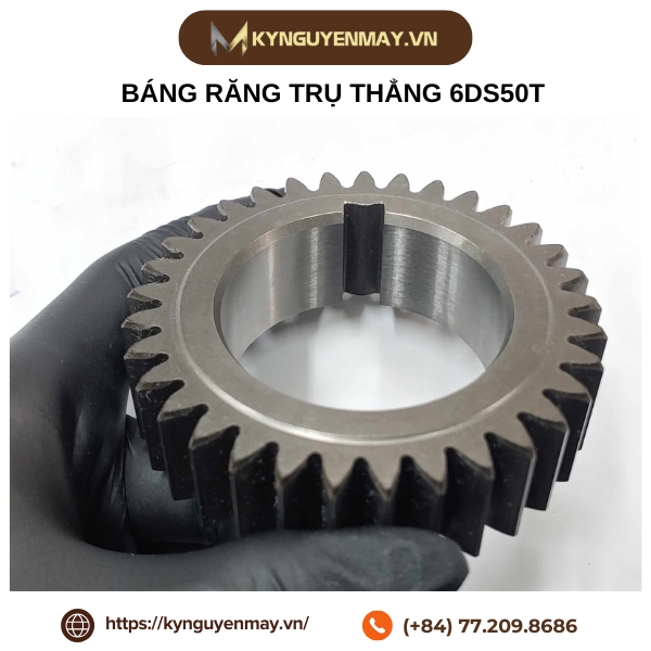 Bánh răng trụ thẳng MSGH-JIS2