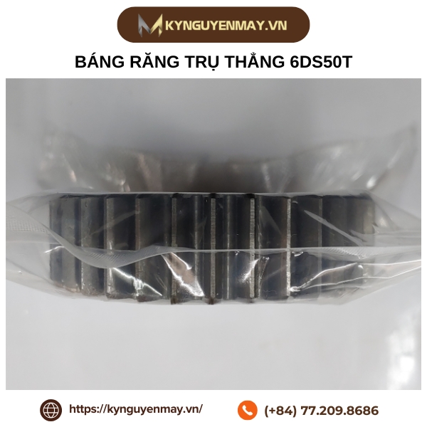 Bánh răng trụ thẳng MSGH-JIS2