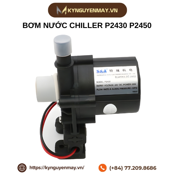 Bơm nước chiller P2430, P2450