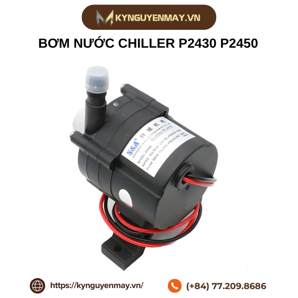 Bơm nước chiller P2430, P2450