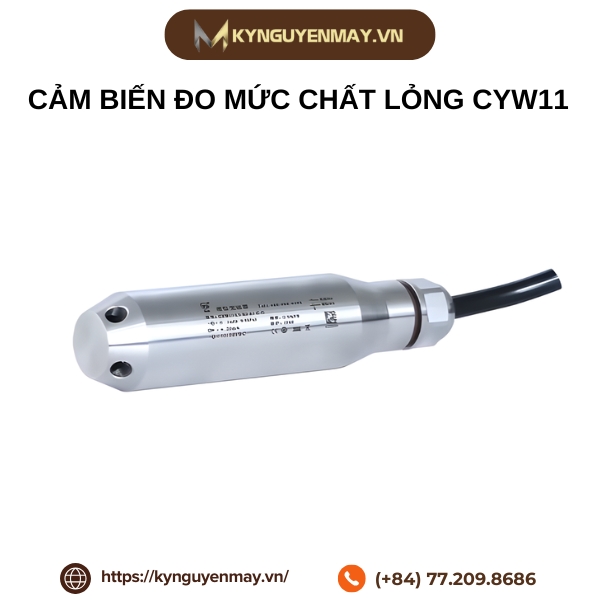 Cảm biến đo mức chất lỏng CYW11