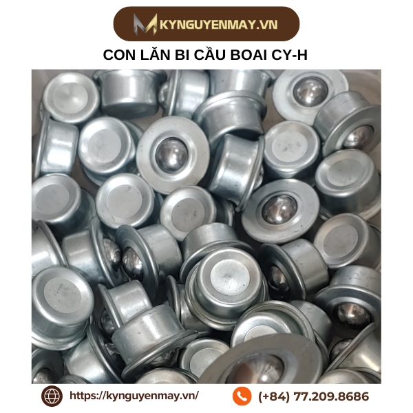 Con lăn bi cầu BOAI CY-H