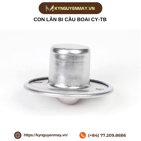 Con lăn bi cầu BOAI CY-TB