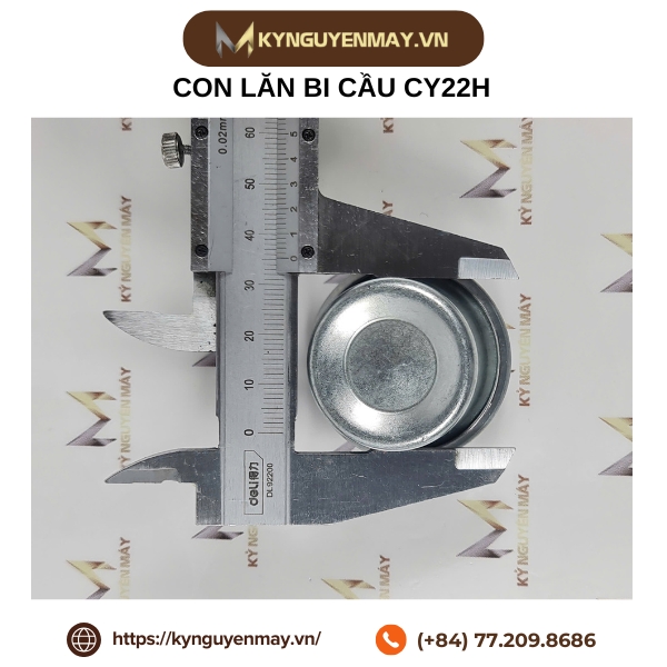 Con lăn bi cầu BOAI CY-H