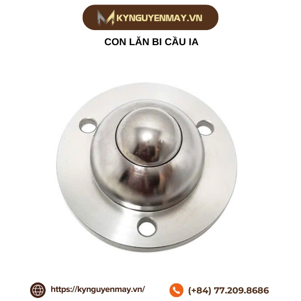 Con lăn bi cầu IA