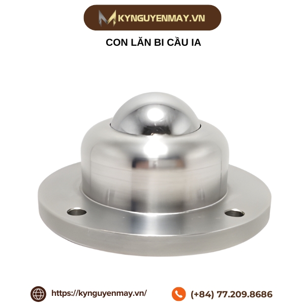 Con lăn bi cầu IA
