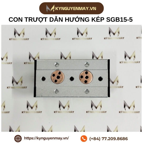 Ray trượt chịu tải dẫn hướng kép SGR SGB