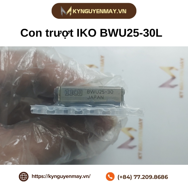 Con trượt IKO BWU25-30L