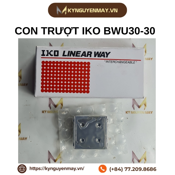 Con trượt IKO BWU30-30