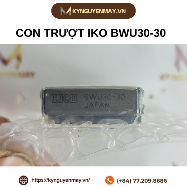 Con trượt IKO BWU30-30