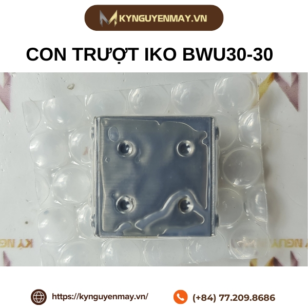 Con trượt IKO BWU30-30