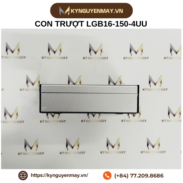 Thanh trượt con trượt trục kép LGB LGD