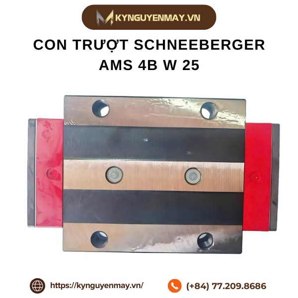 Con trượt SCHNEEBERGER AMS 4B W 25