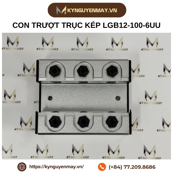 Thanh trượt con trượt trục kép LGB LGD