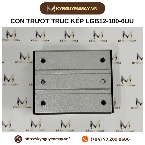 Thanh trượt con trượt trục kép LGB LGD