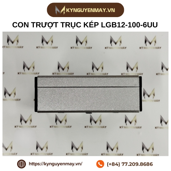 Thanh trượt con trượt trục kép LGB LGD
