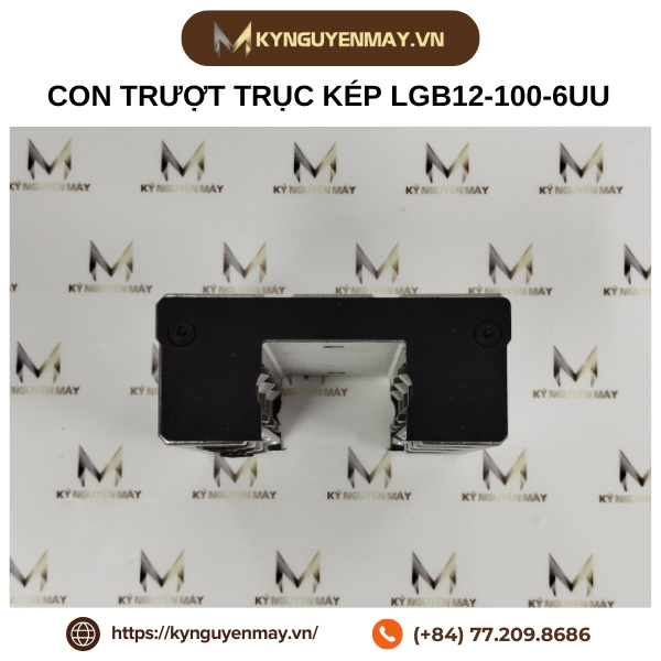 Thanh trượt con trượt trục kép LGB LGD