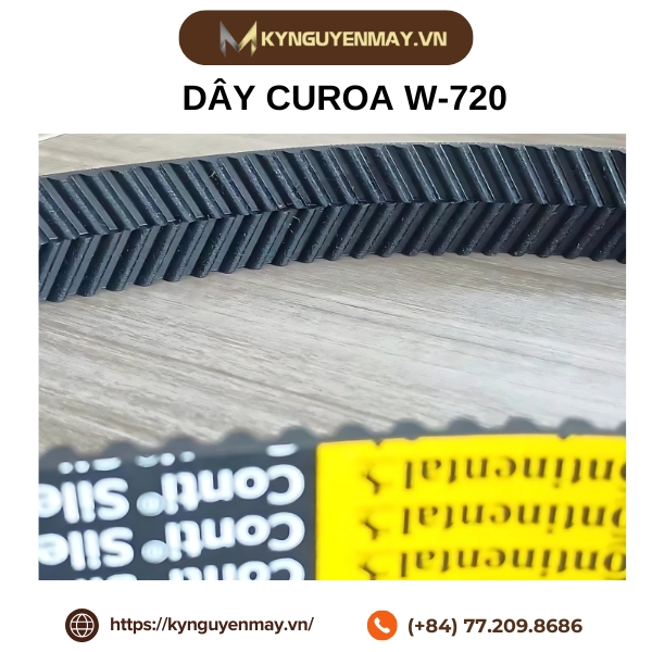 Dây curoa CONTITECH W-720