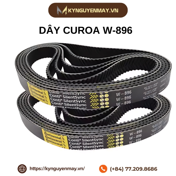 Dây curoa CONTITECH W-896